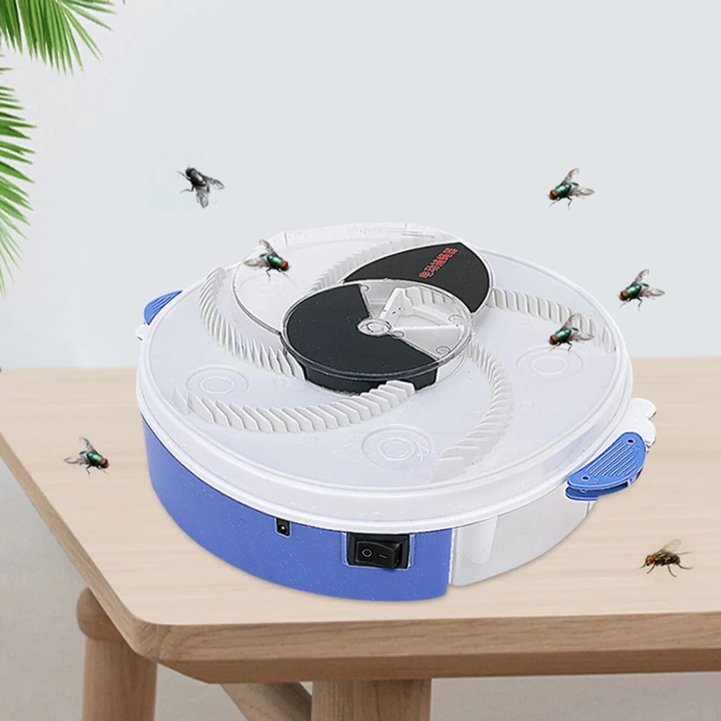 Baby Safe Electric Flycatcher